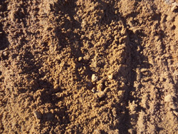 Turf-Sand