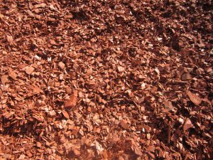 red-river-chips